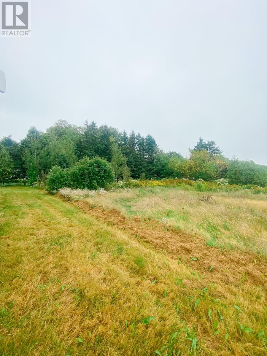 1146 ST. CHARLES Road