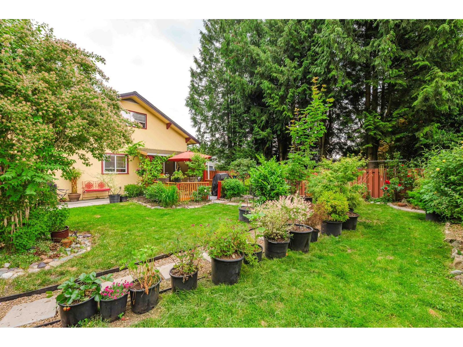 Photo 24 of 33318 Holland Avenue, Abbotsford BC
