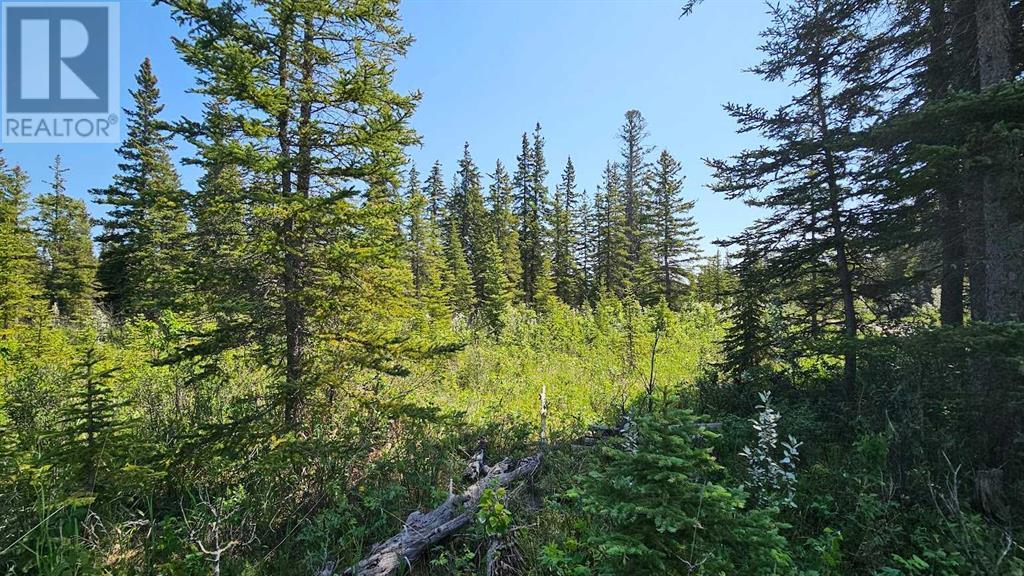 Photo 9 of 12 34364 Range Road 42, Rural Mountain View County AB