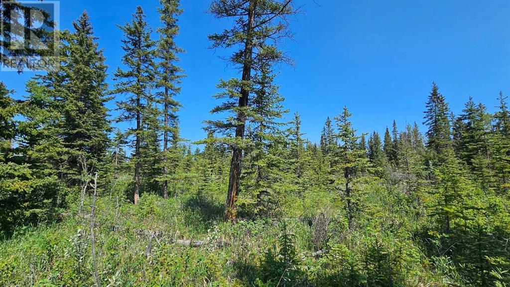 Photo 13 of 12 34364 Range Road 42, Rural Mountain View County AB