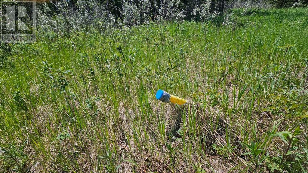 Photo 1 of 19 34364 Range Road 42, Rural Mountain View County AB