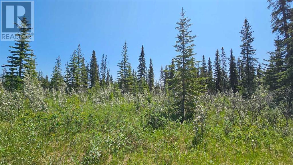 Photo 7 of 19 34364 Range Road 42, Rural Mountain View County AB