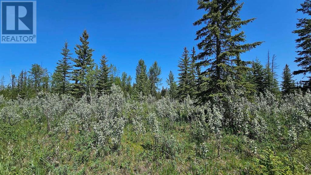 Photo 13 of 20 34364 Range Road 42, Rural Mountain View County AB