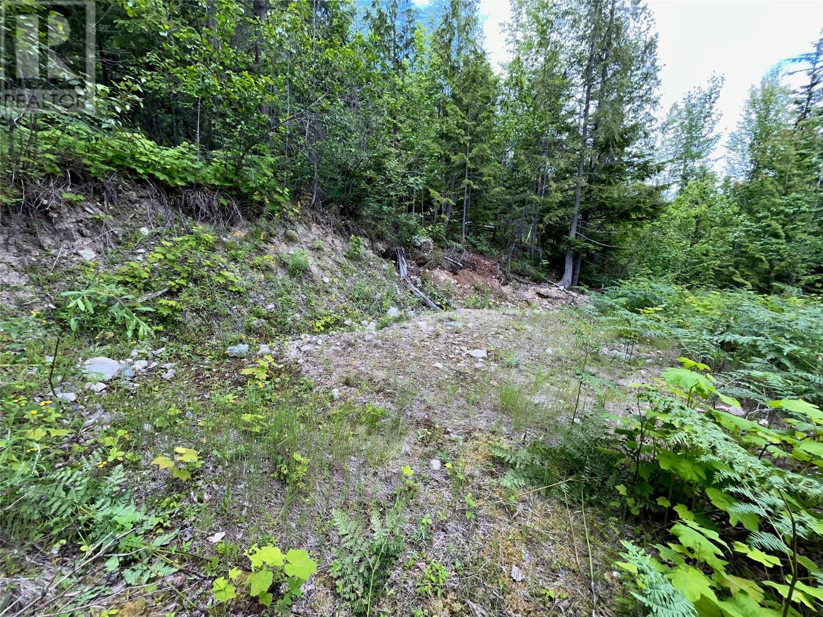 Photo 12 of 20 9000 Seymour Main Lot 20, Seymour Arm BC