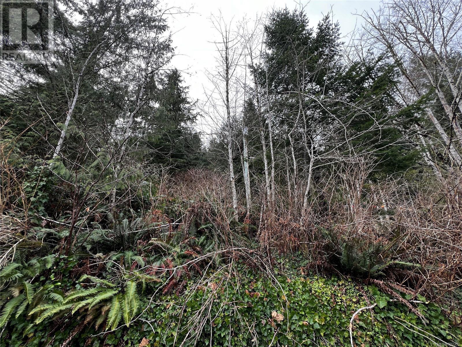 854 Maquinna Dr S, Tahsis