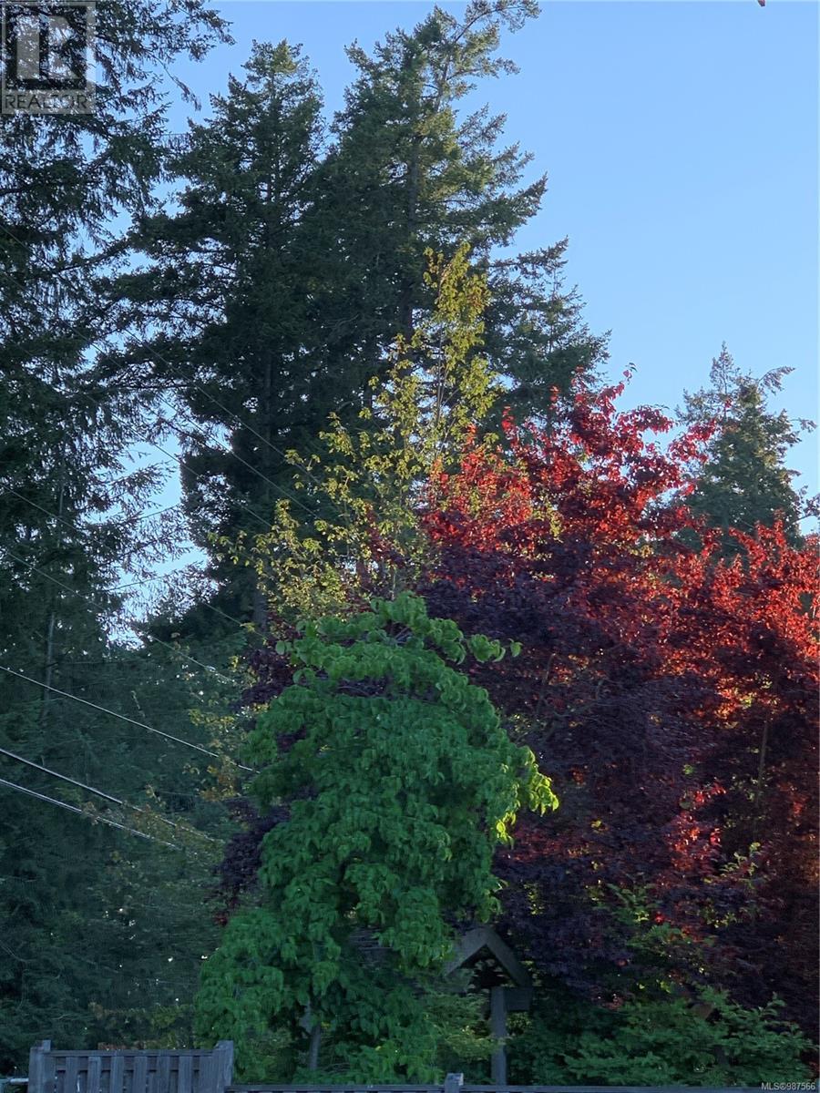 4 379 Wale Rd, Colwood