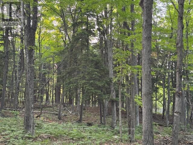 Photo 25 of 634 Dalhousie 5 A Concession, Lanark Highlands ON