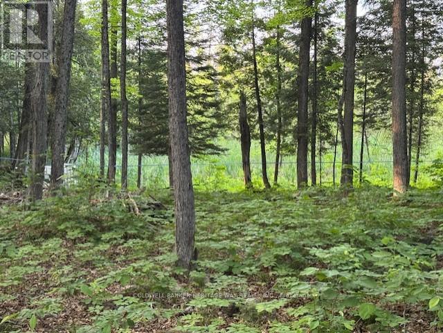 Photo 3 of 634 Dalhousie 5 A Concession, Lanark Highlands ON