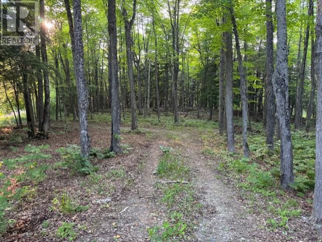 Photo 18 of 634 Dalhousie 5 A Concession, Lanark Highlands ON