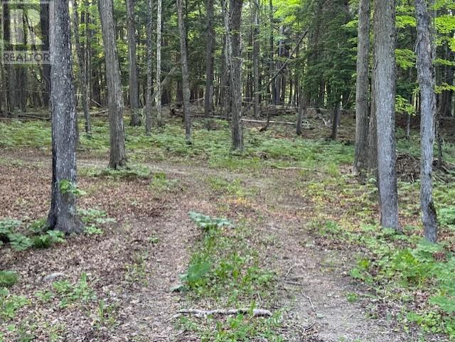 Photo 26 of 634 Dalhousie 5 A Concession, Lanark Highlands ON