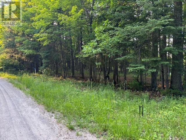 Photo 24 of 634 Dalhousie 5 A Concession, Lanark Highlands ON