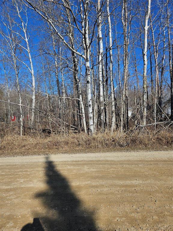 Photo 1 of 53 Berrywood Bay, Victoria Beach MB