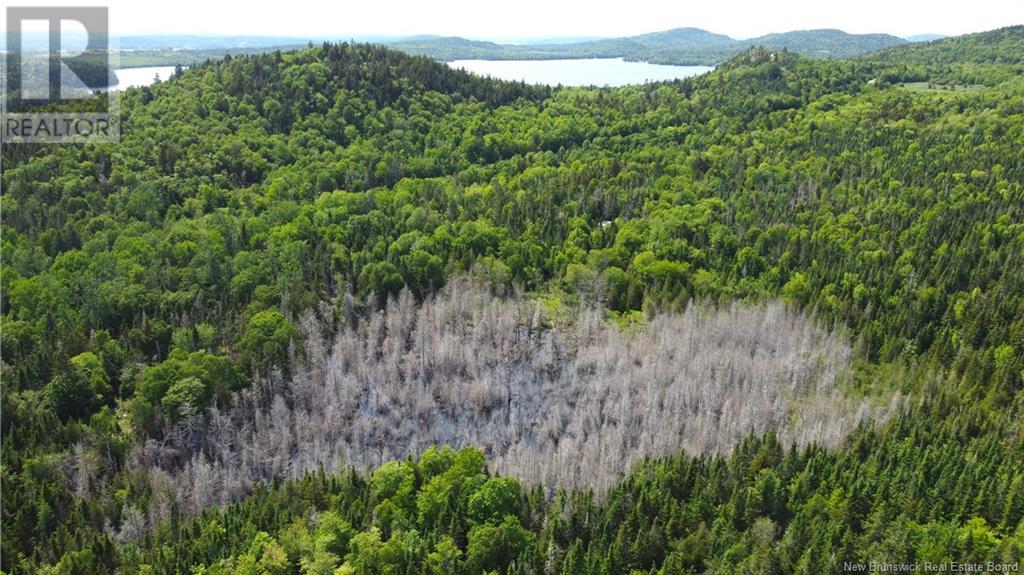 LOT 2024-3 ROUTE 127 - 13