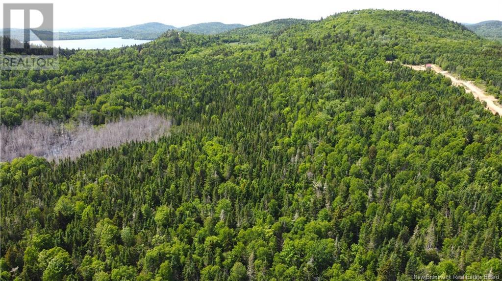 LOT 2024-3 ROUTE 127 - 9