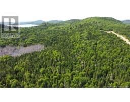 Lot 2024-3 Route 127, Chamcook, NB E5B3R6 Photo 9