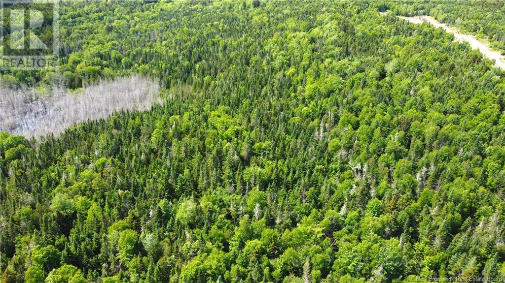 LOT 2024-3 ROUTE 127 - 11