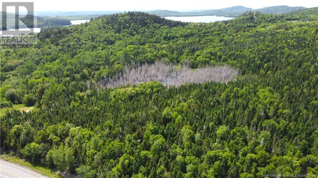 LOT 2024-3 ROUTE 127 - 10