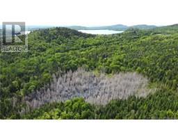 Lot 2024-1 Route 127, Chamcook, NB E5B3R6 Photo 13