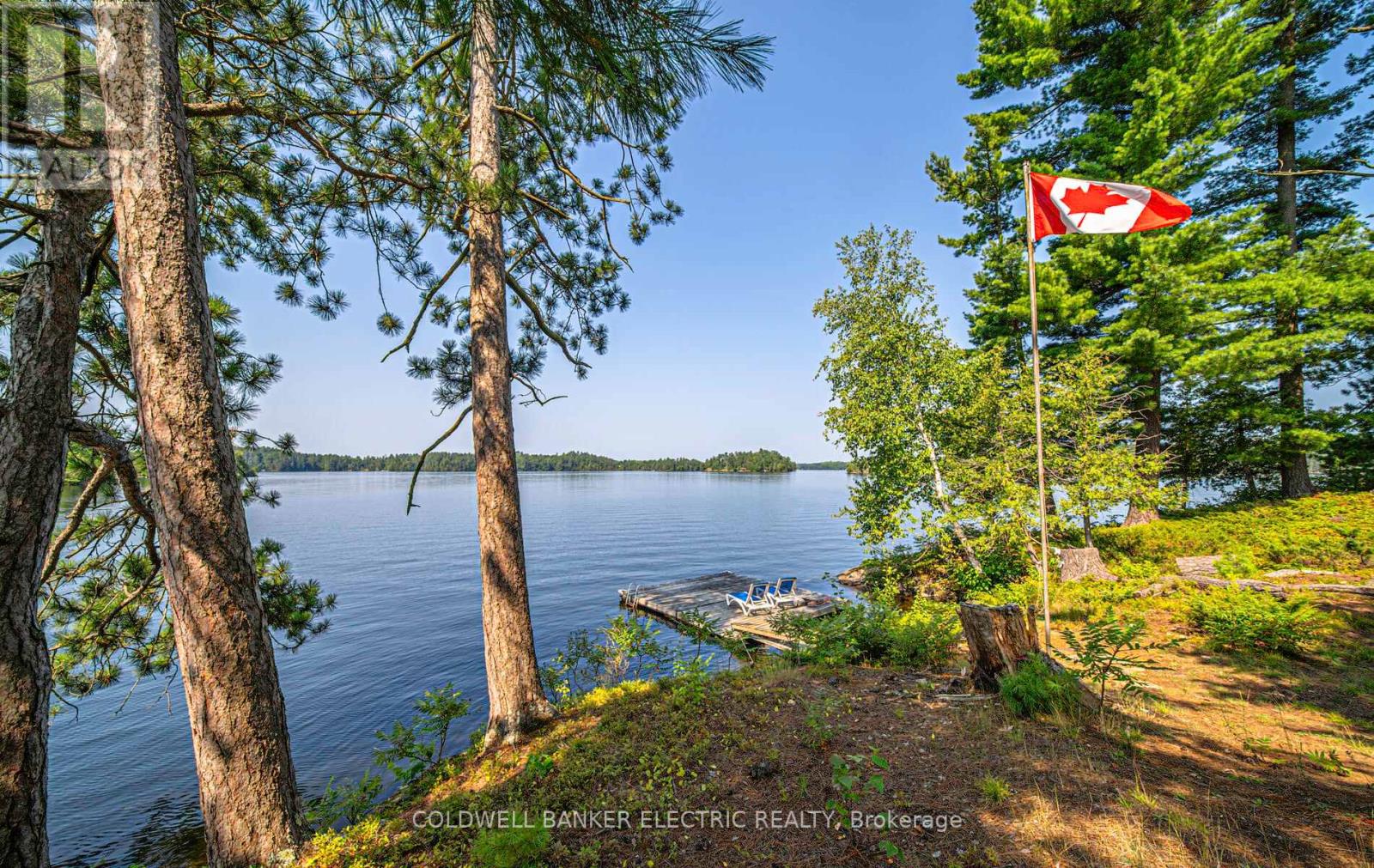 Photo 40 of 820 Island 28, Havelockbelmontmethuen ON