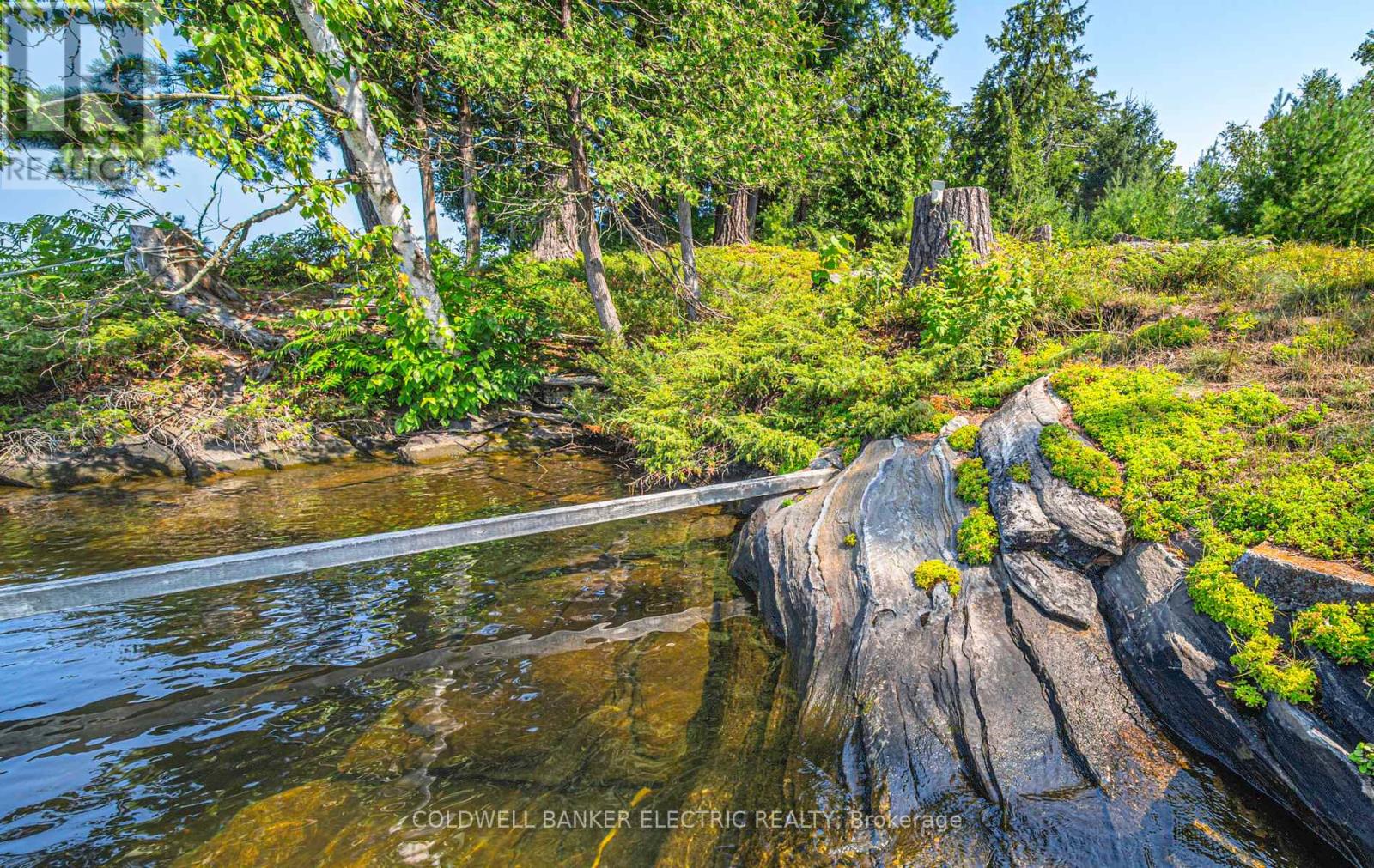 Photo 36 of 820 Island 28, Havelockbelmontmethuen ON