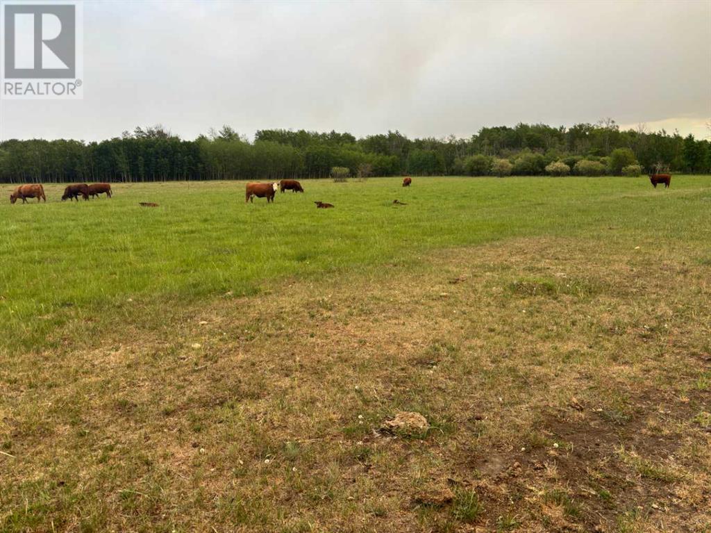 Photo 10 of 712045 Range Road 90, Rural Grande Prairie No 1 County Of AB
