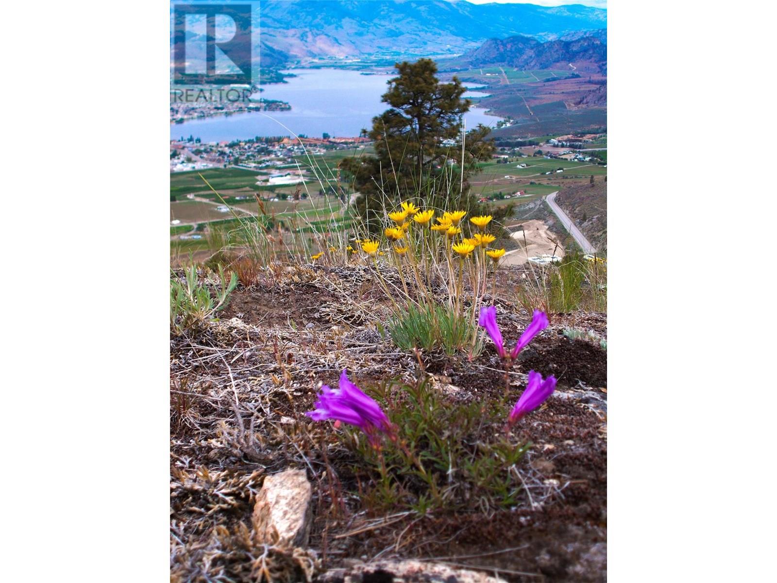 1345 3 Highway, Osoyoos