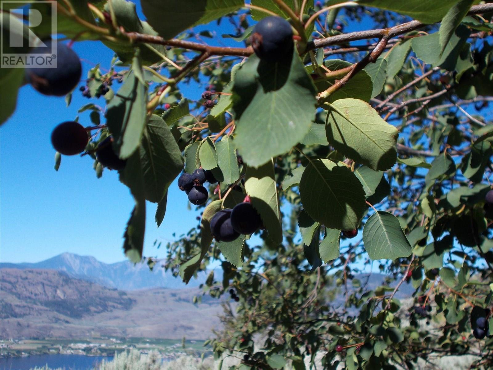 1345 3 Highway, Osoyoos