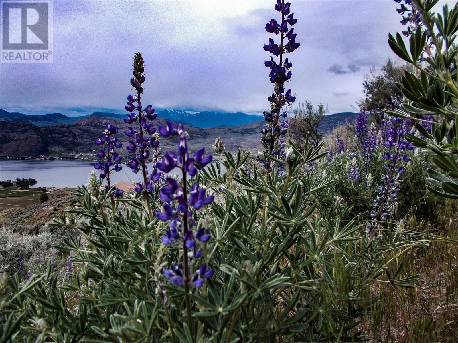 1345 3 Highway, Osoyoos