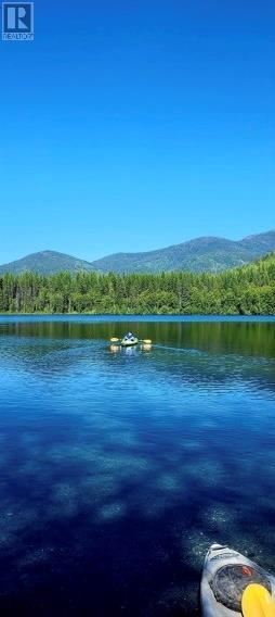 9848 6 Highway, Salmo