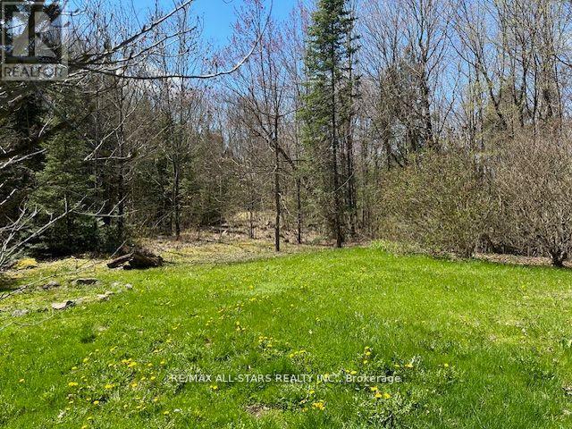 Photo 17 of 33 Edwina Drive, Trent Lakes ON