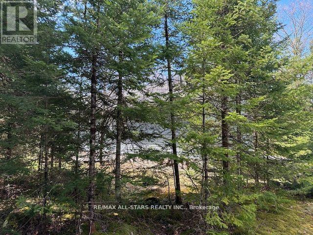 Photo 2 of 33 Edwina Drive, Trent Lakes ON