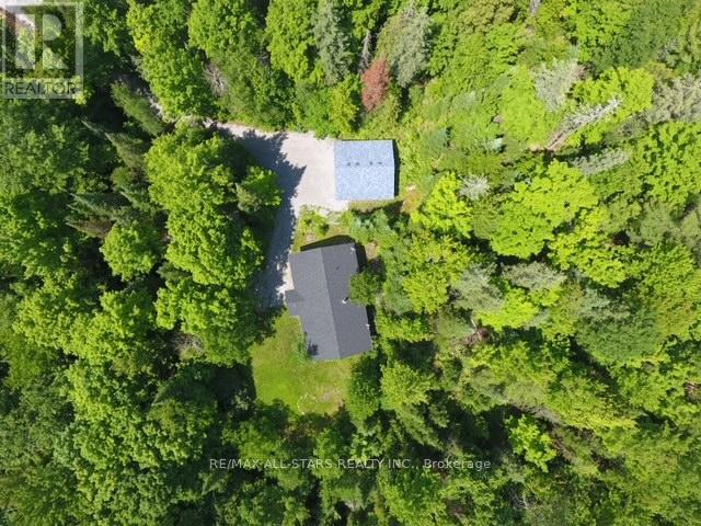 Photo 13 of 33 Edwina Drive, Trent Lakes ON