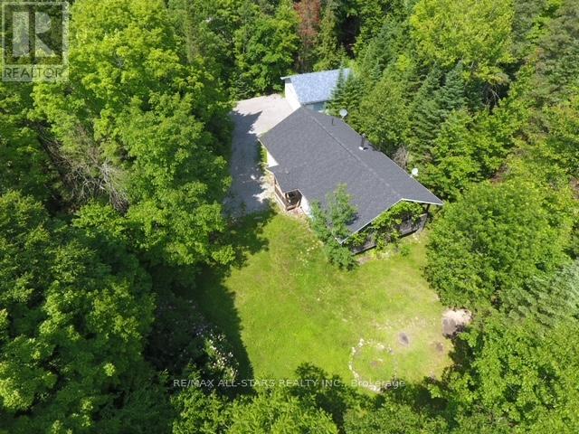 Photo 8 of 33 Edwina Drive, Trent Lakes ON