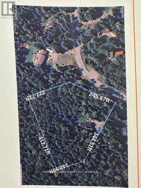Photo 24 of 33 Edwina Drive, Trent Lakes ON