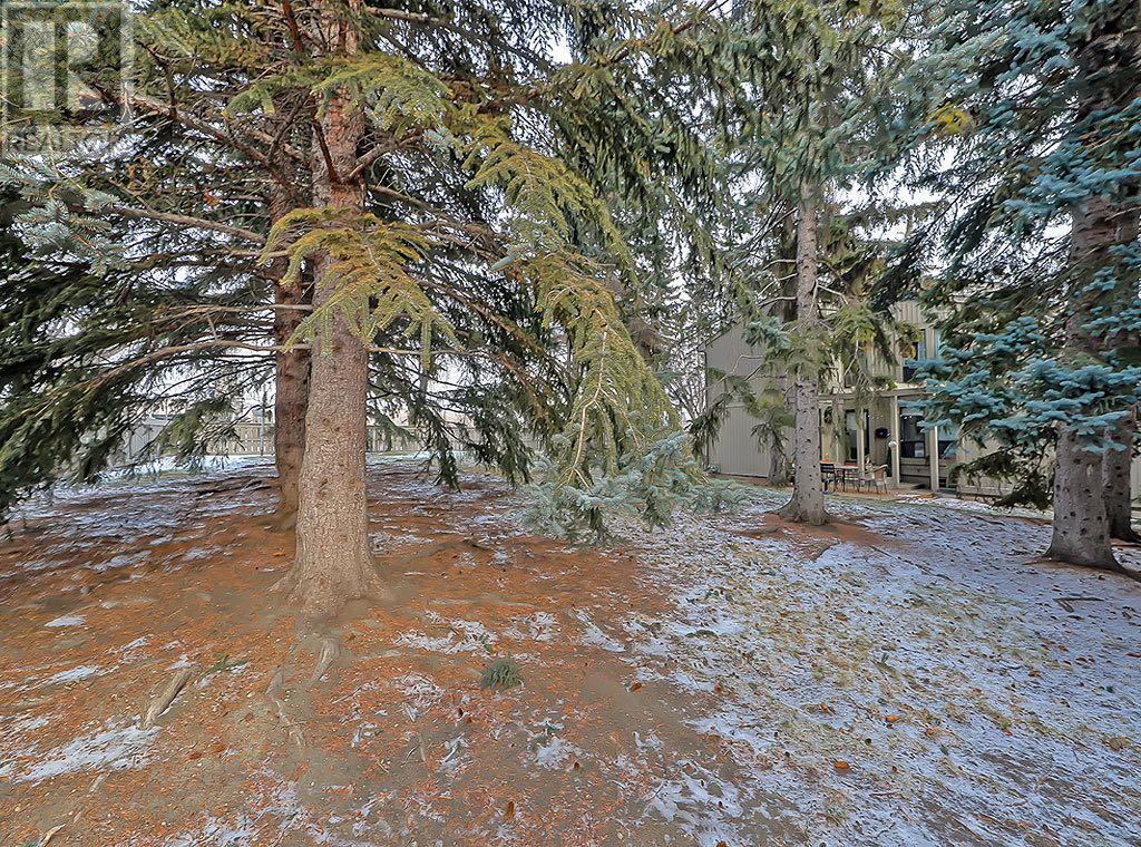 Single Family House for Sale in    Street SW Braeside Calgary 