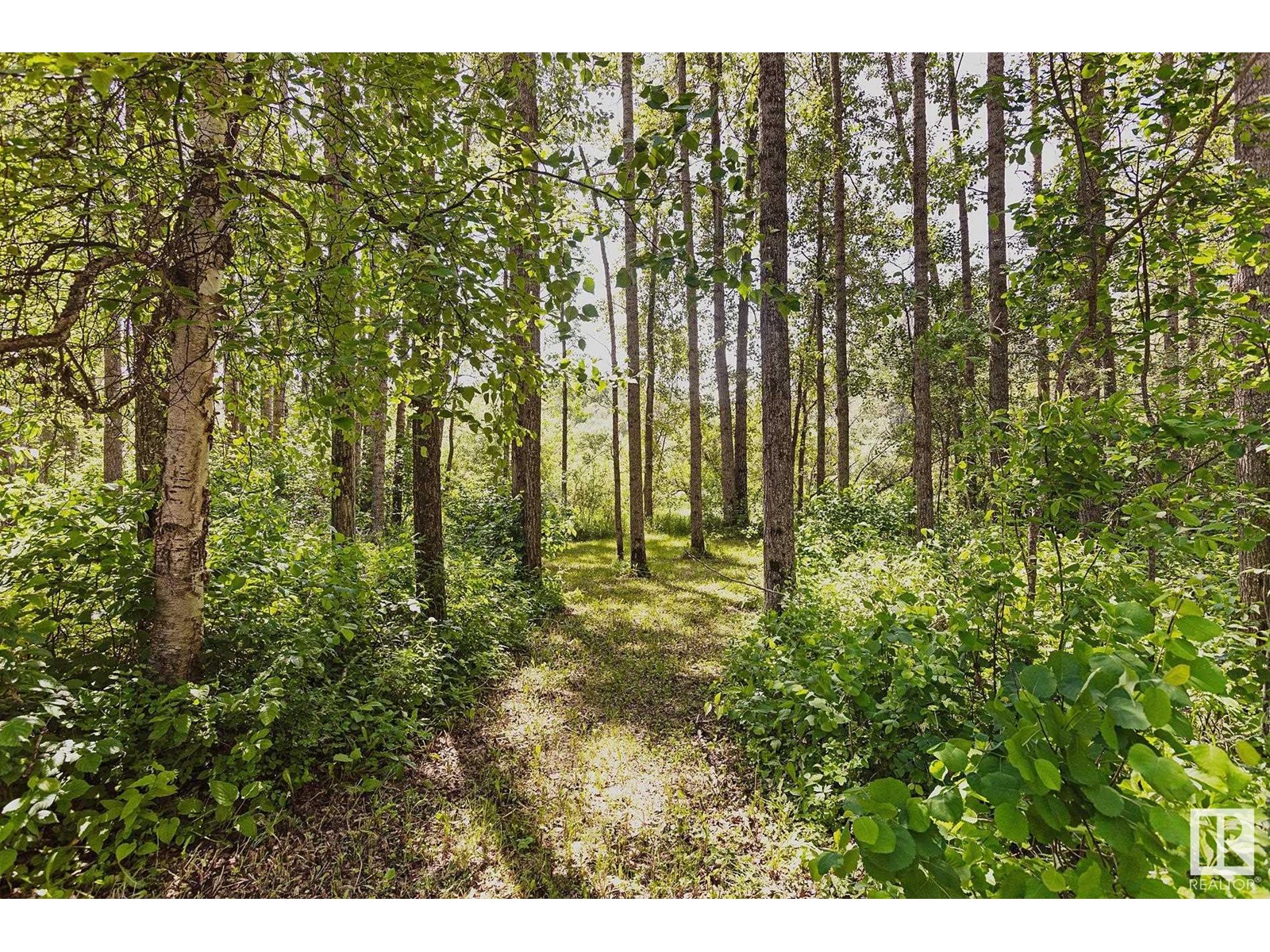 Photo 6 of 9 53220 Rge Road 25, Rural Parkland County AB