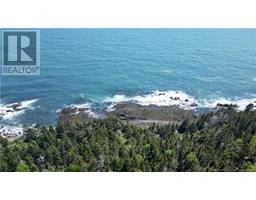Lot 01-07 Route 776, Grand Manan, NB E5G4K5 Photo 9