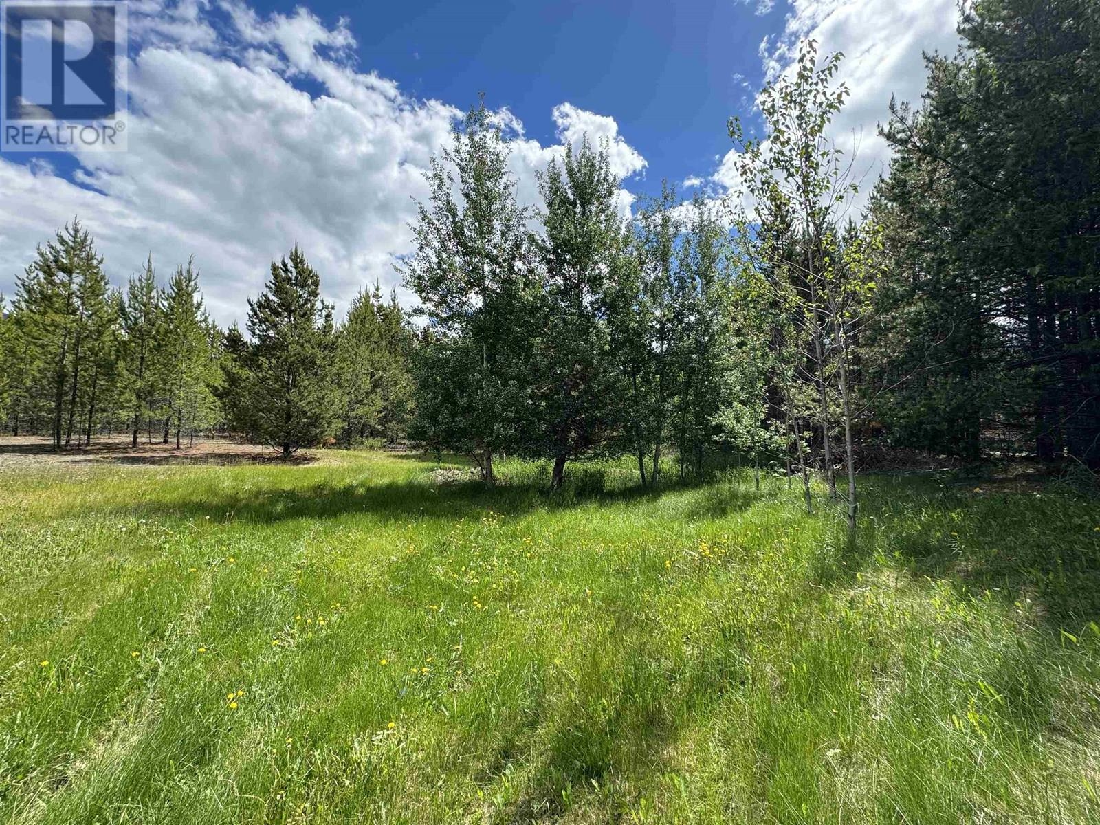 LOT 2 STARVIEW ROAD, Valemount