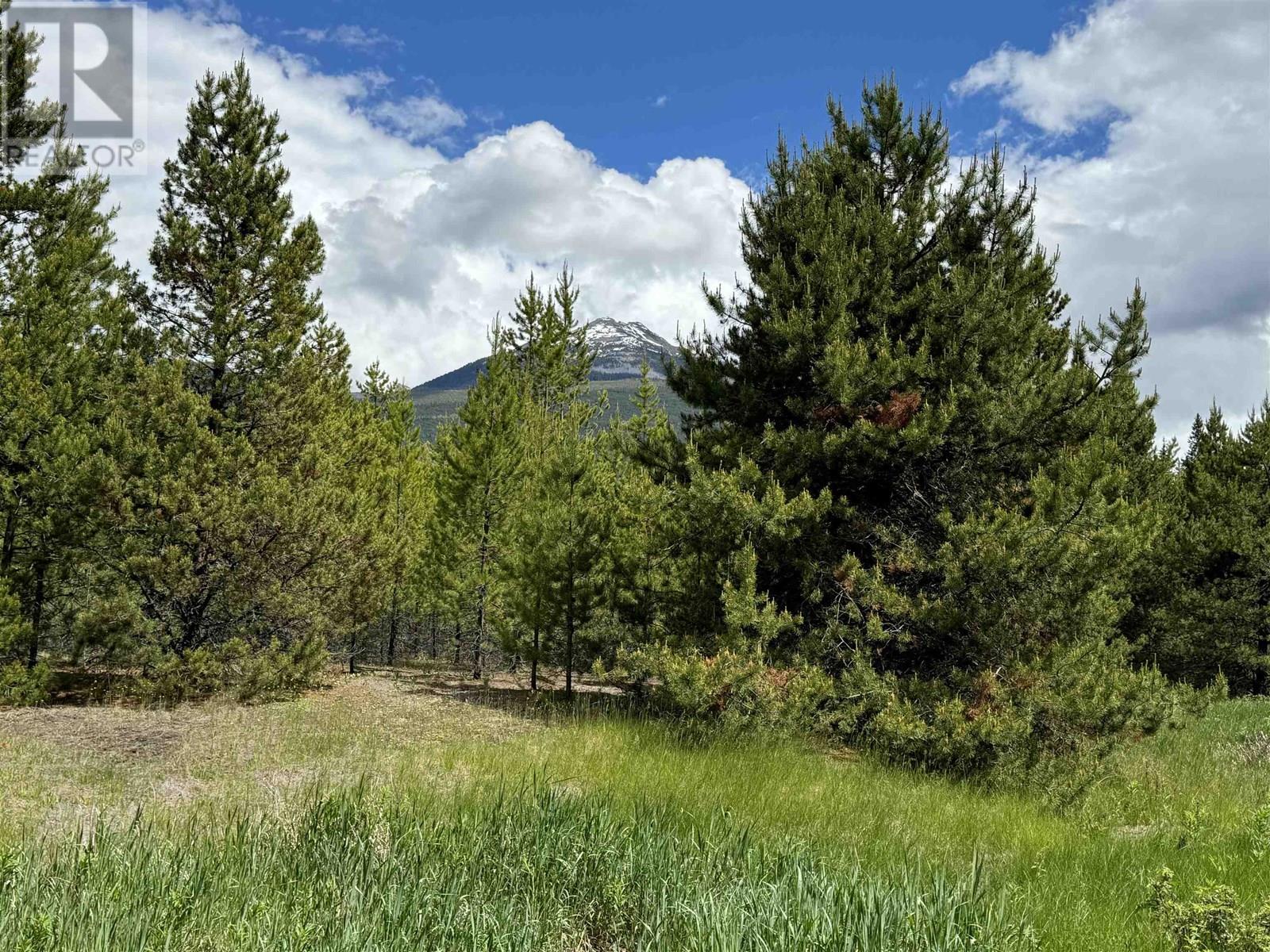 LOT 2 STARVIEW ROAD, Valemount