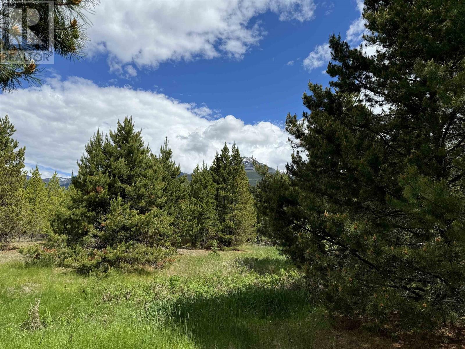 LOT 2 STARVIEW ROAD, Valemount