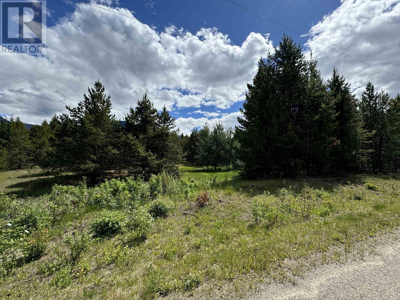 LOT 2 STARVIEW ROAD, Valemount