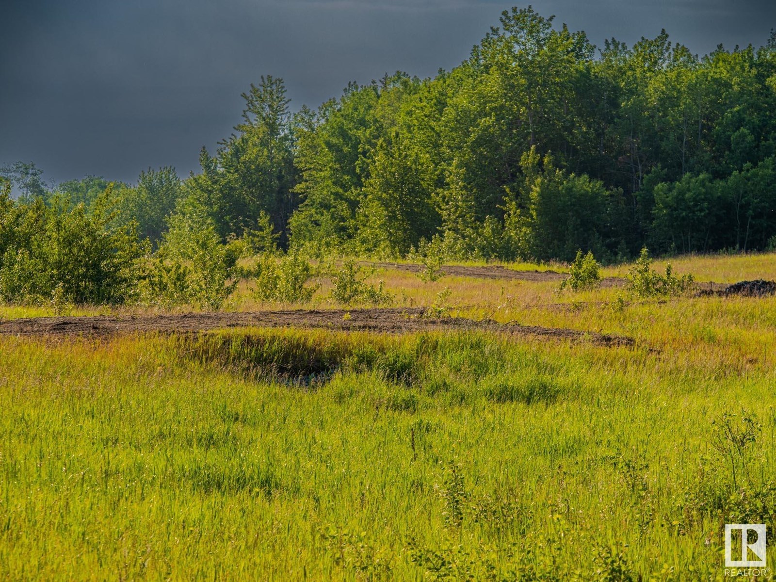 Photo 11 of Nw 14 47 24 4, Rural Wetaskiwin County AB