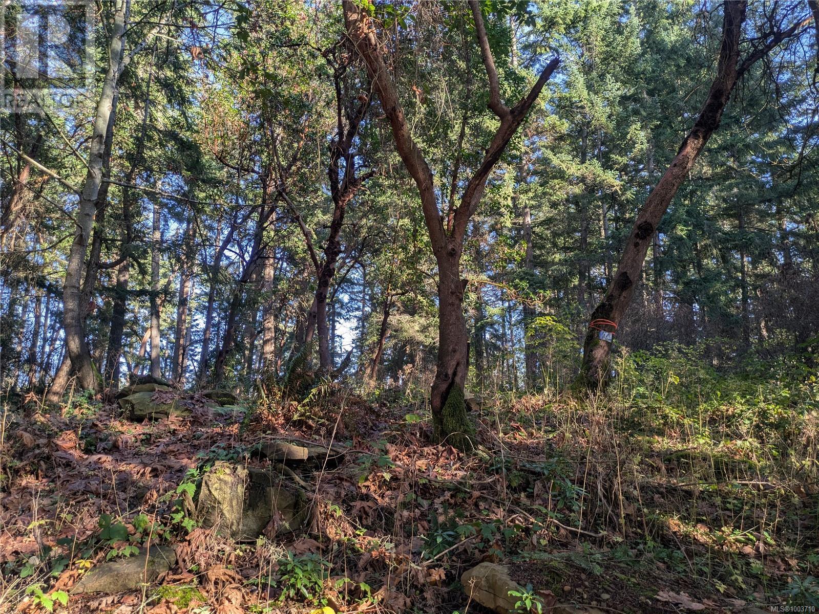 Vacant Land for Sale in Protection Island – 174 Pirates Lane, Protection Island - Image 12