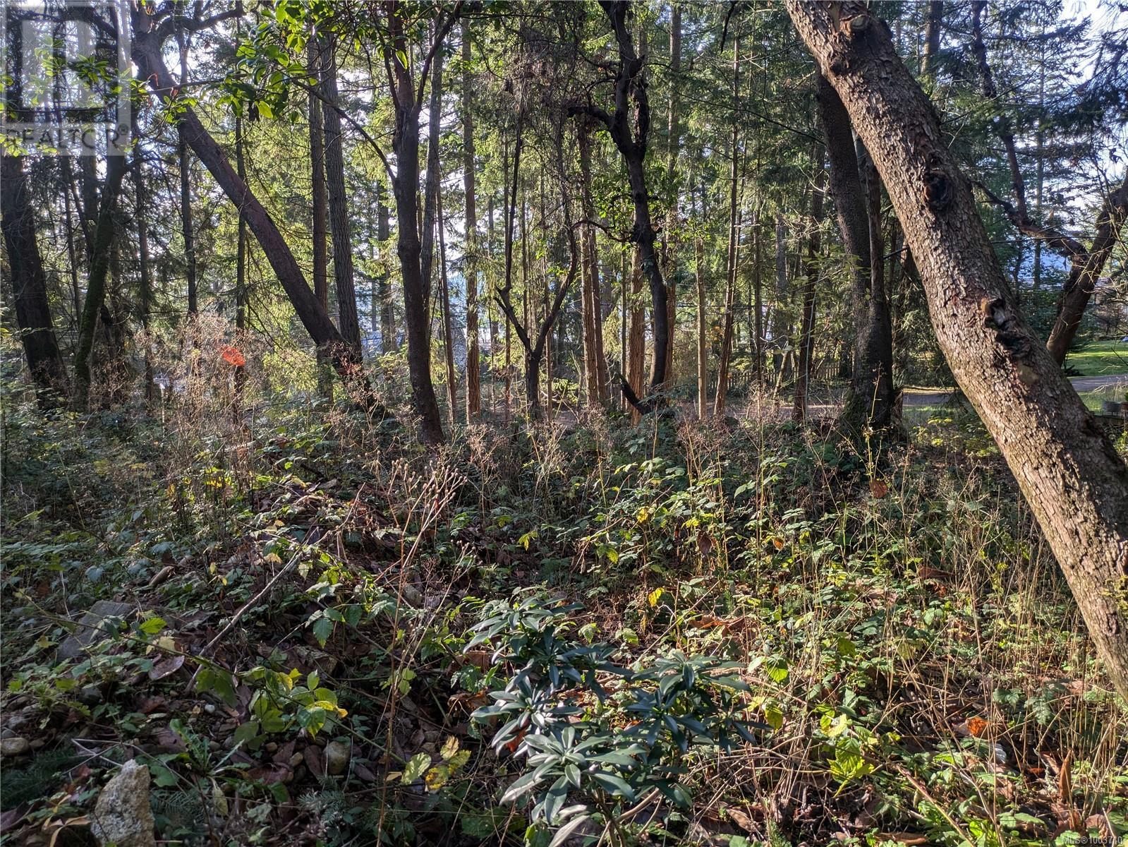 Vacant Land for Sale in Protection Island – 174 Pirates Lane, Protection Island - Image 15