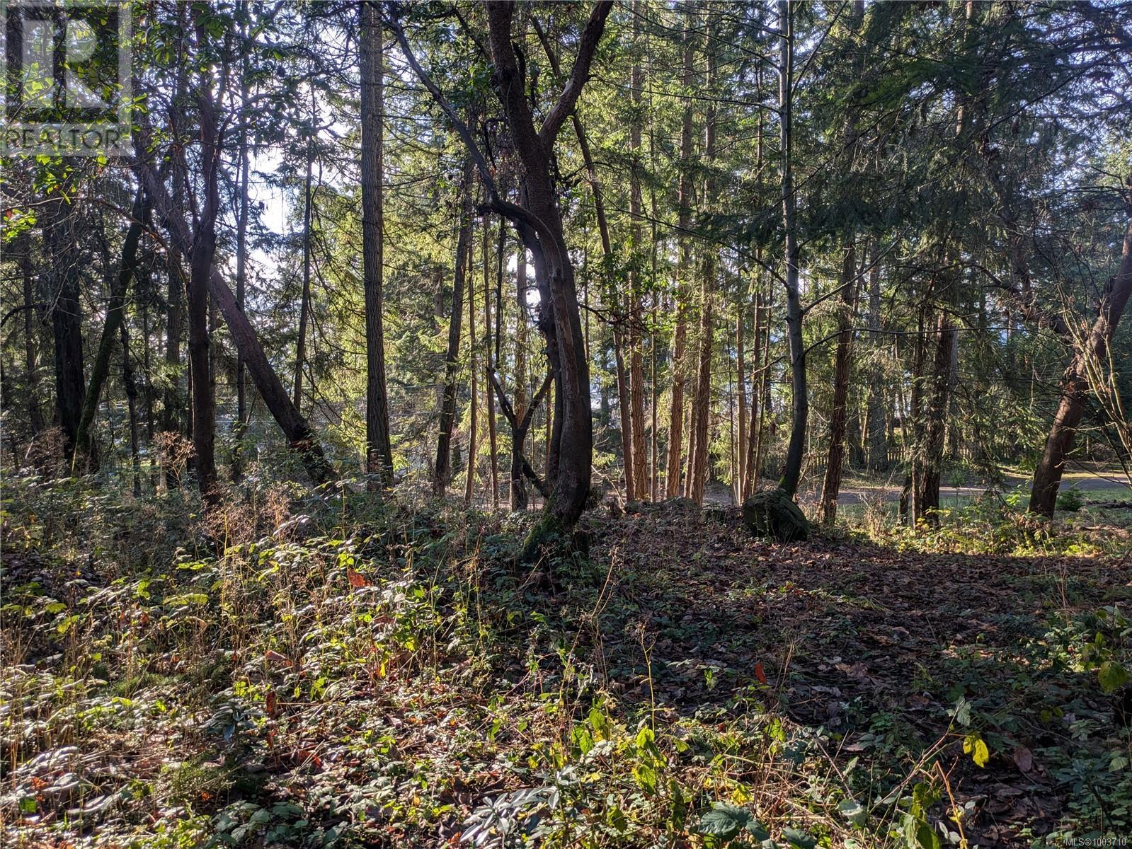 Vacant Land for Sale in Protection Island – 174 Pirates Lane, Protection Island - Image 9