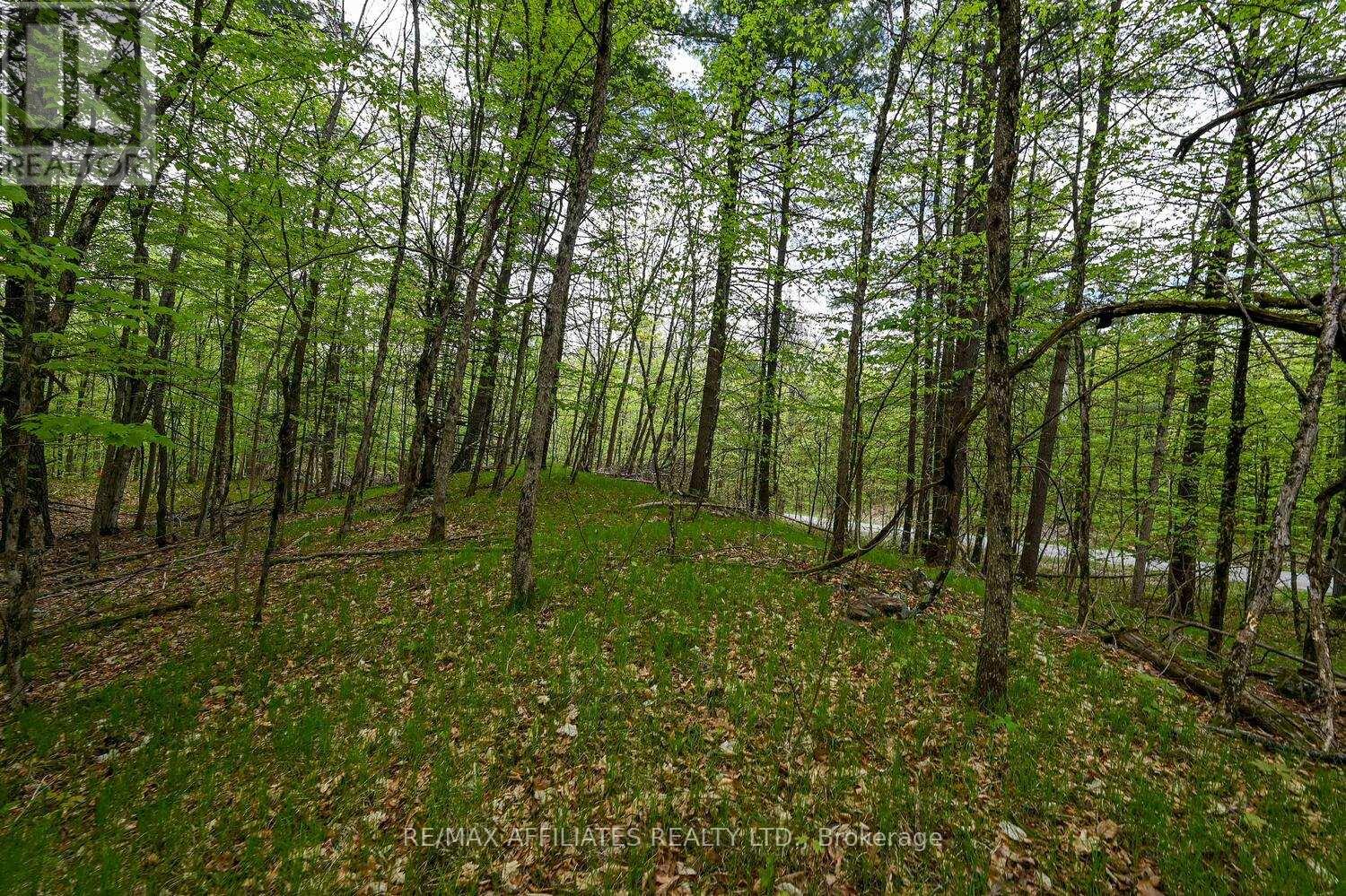 Photo 15 of 00 Clear Lake Road, Rideau Lakes ON