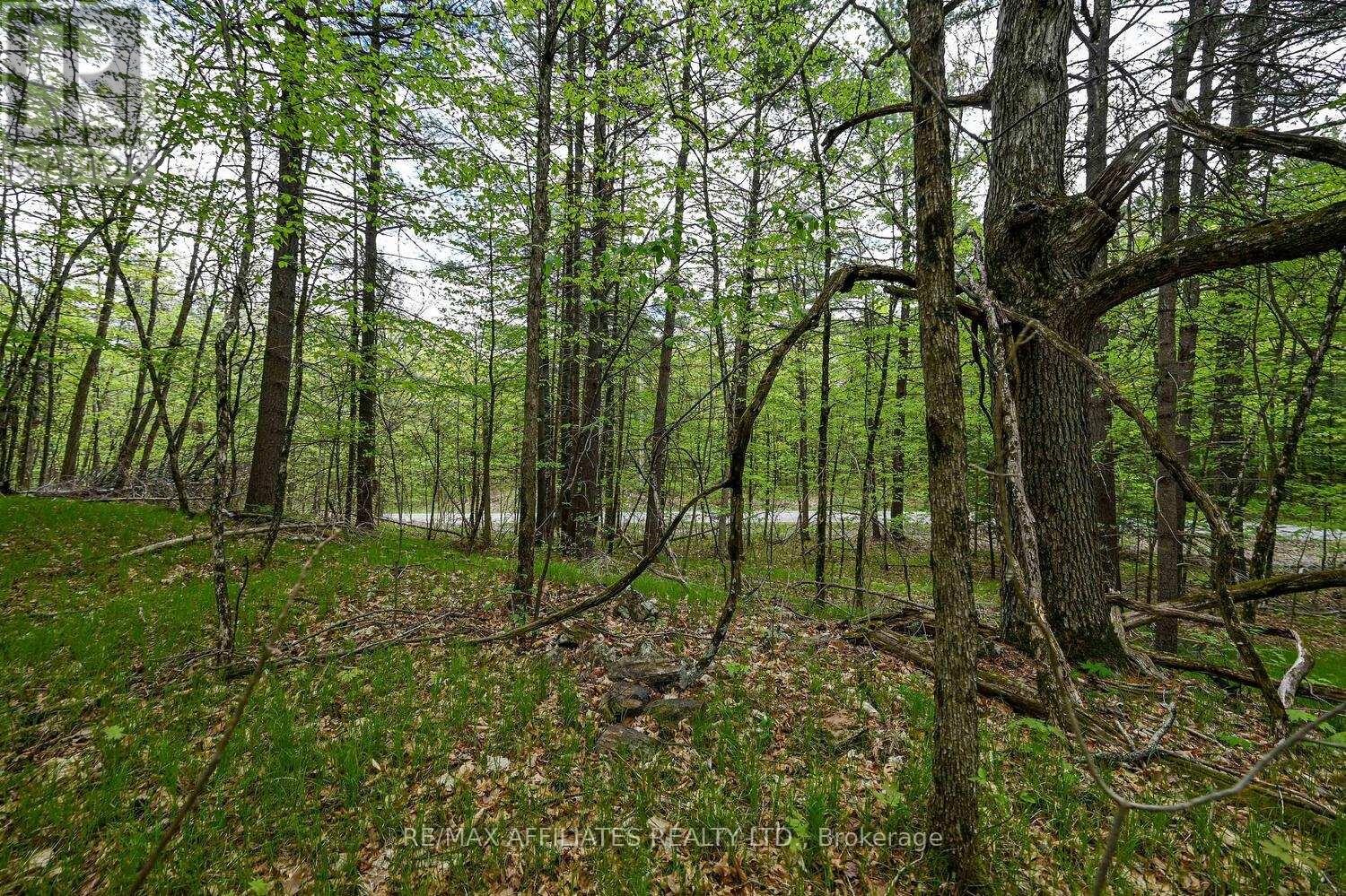 Photo 16 of 00 Clear Lake Road, Rideau Lakes ON