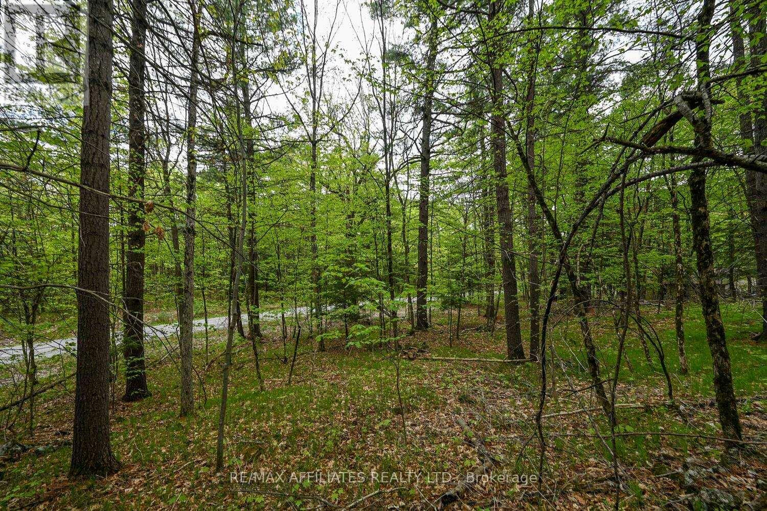 Photo 17 of 00 Clear Lake Road, Rideau Lakes ON