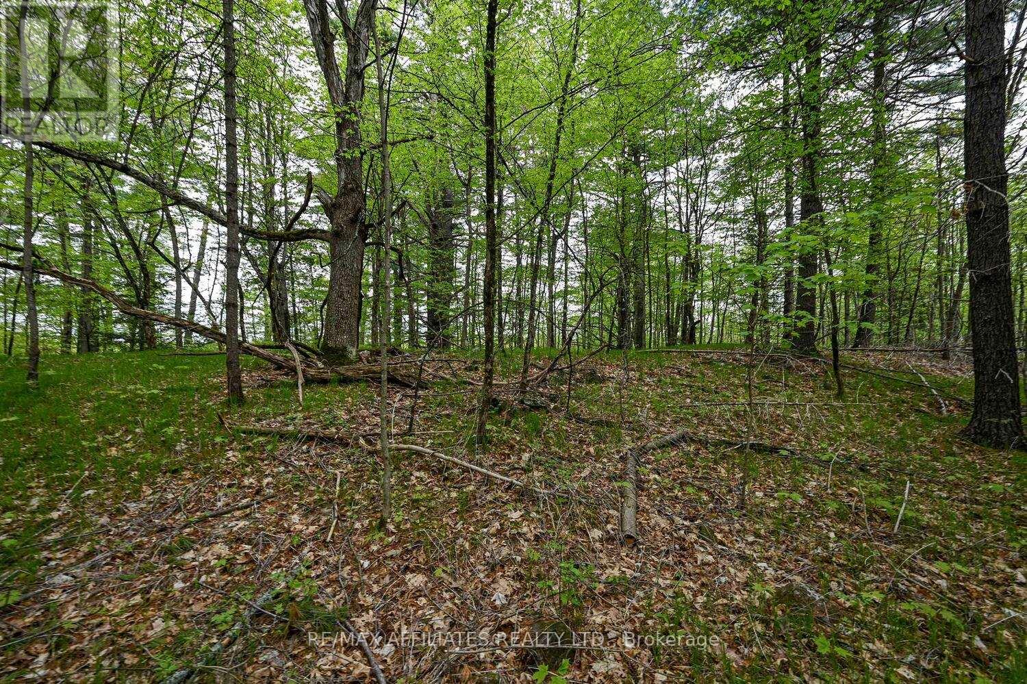 Photo 19 of 00 Clear Lake Road, Rideau Lakes ON