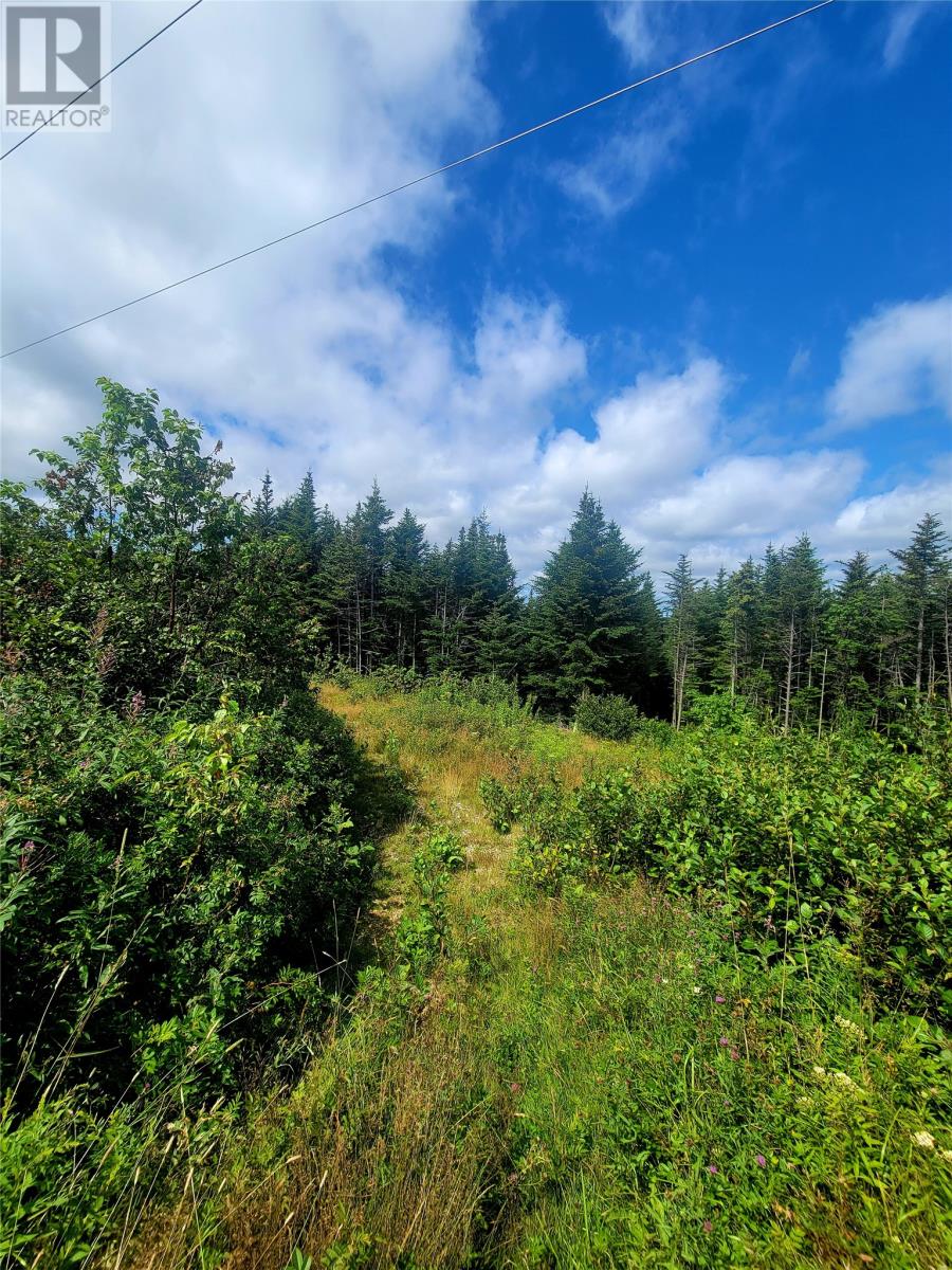 Photo 4 of 38 Cathill Road, Bay Roberts NL